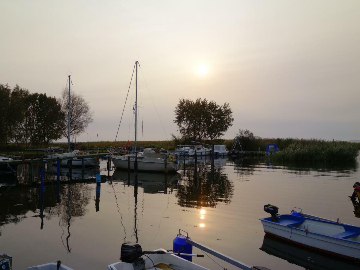 Steinbock-Ferienwohnungen Kölpinsee Exterior photo